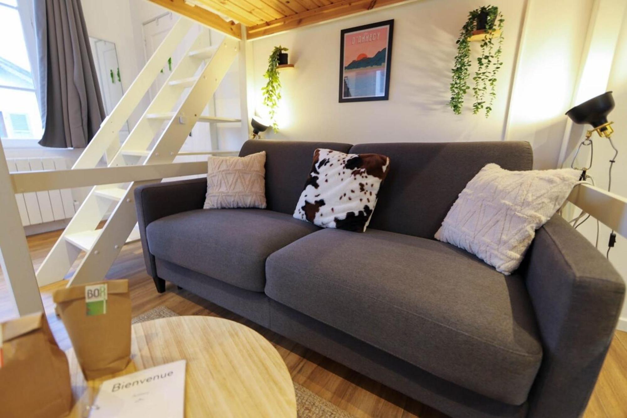 Le Petit Plus - Studio Confortable Avec Parking Apartment Annecy Luaran gambar