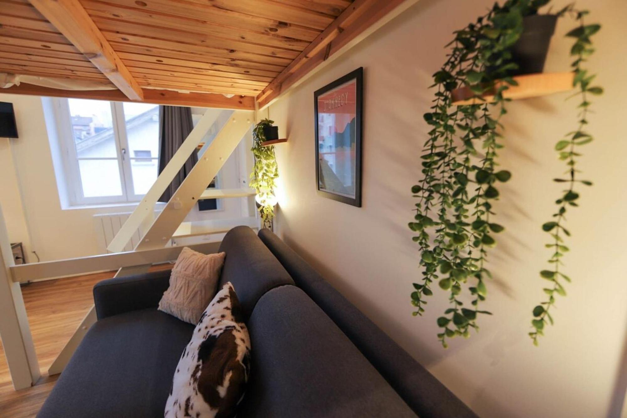 Le Petit Plus - Studio Confortable Avec Parking Apartment Annecy Luaran gambar